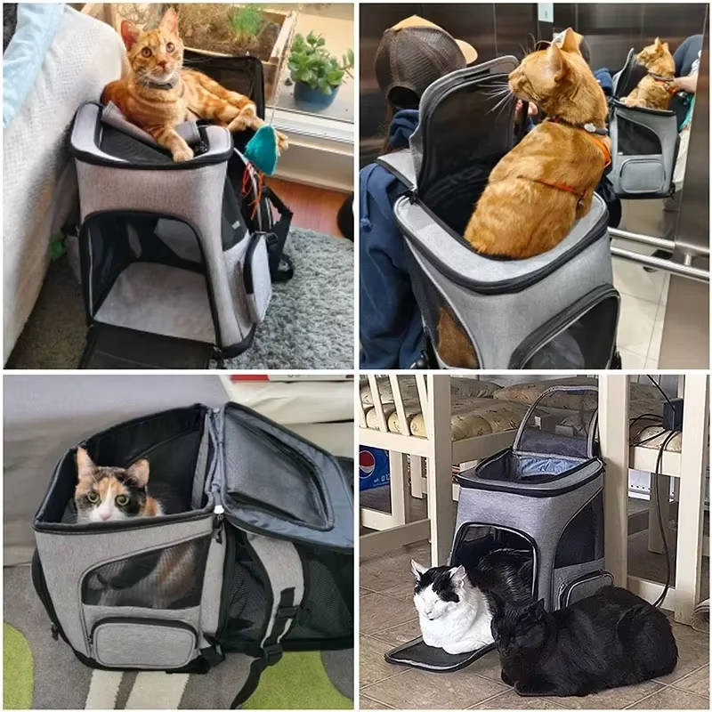 Cat Bag Outdoor Portable Cat B - đánh giá và giá Foldable Backpack Small
